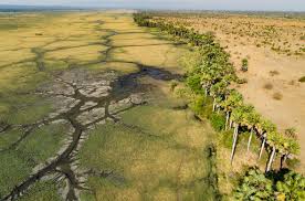 Katavi wildlife highlights