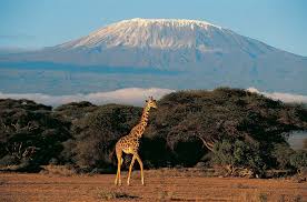 Mount Kilimanjaro 2