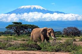 Mount Kilimanjaro 5
