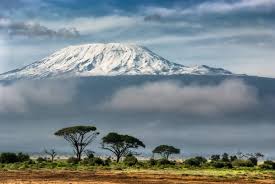 Mount Kilimanjaro 7