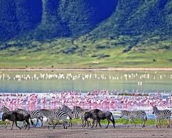 Ngorongoro game drive