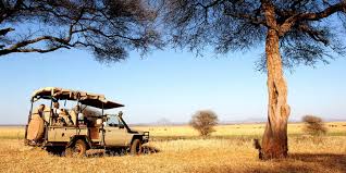 Tarangire dry season